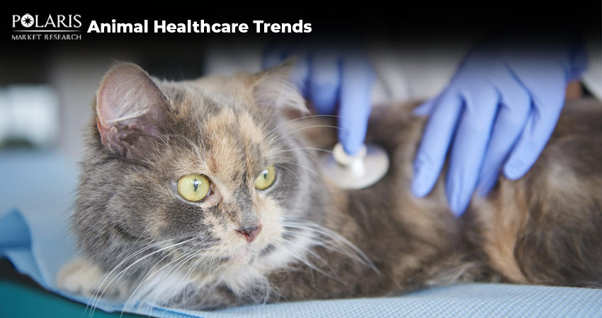 Animal Healthcare Trends: Innovations Reshaping Market Landscape Revealed 